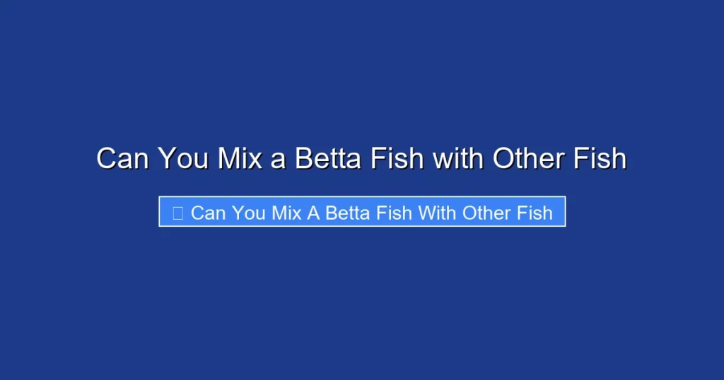 Can You Mix a Betta Fish with Other Fish