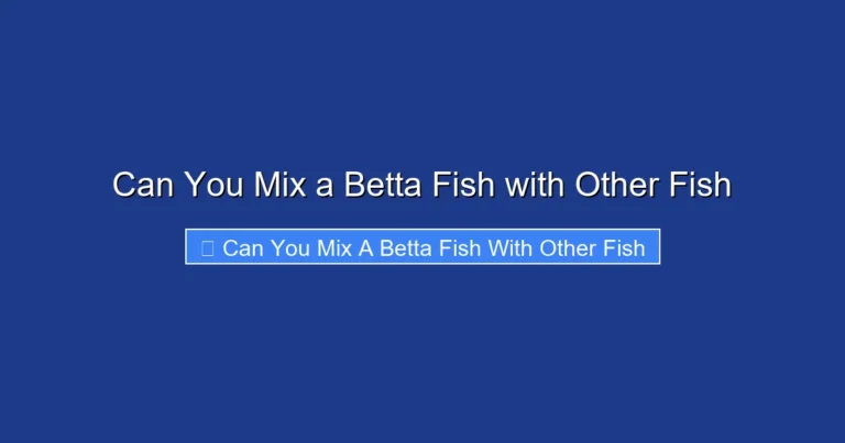 Can You Mix a Betta Fish with Other Fish