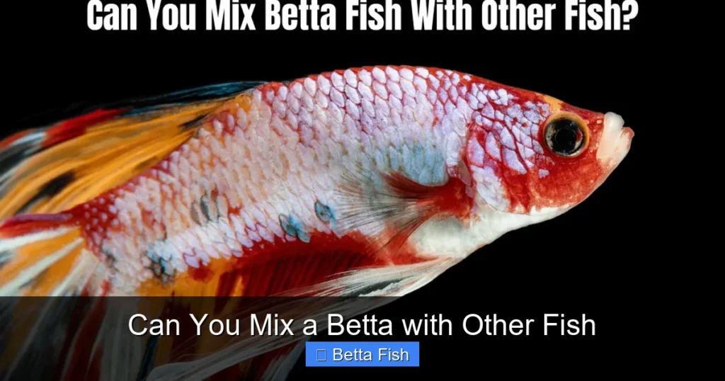 Can You Mix a Betta with Other Fish