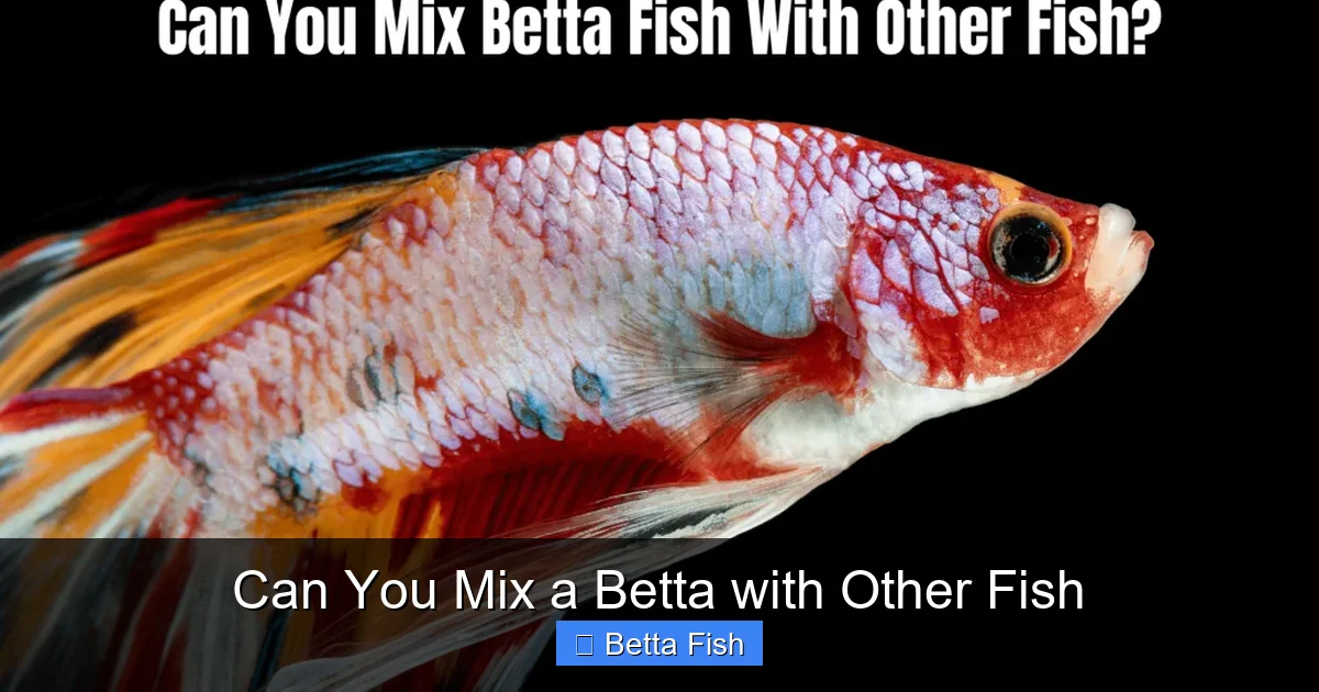 Can You Mix a Betta with Other Fish