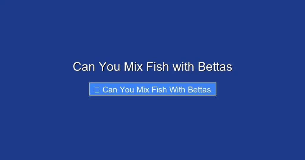 Can You Mix Fish with Bettas