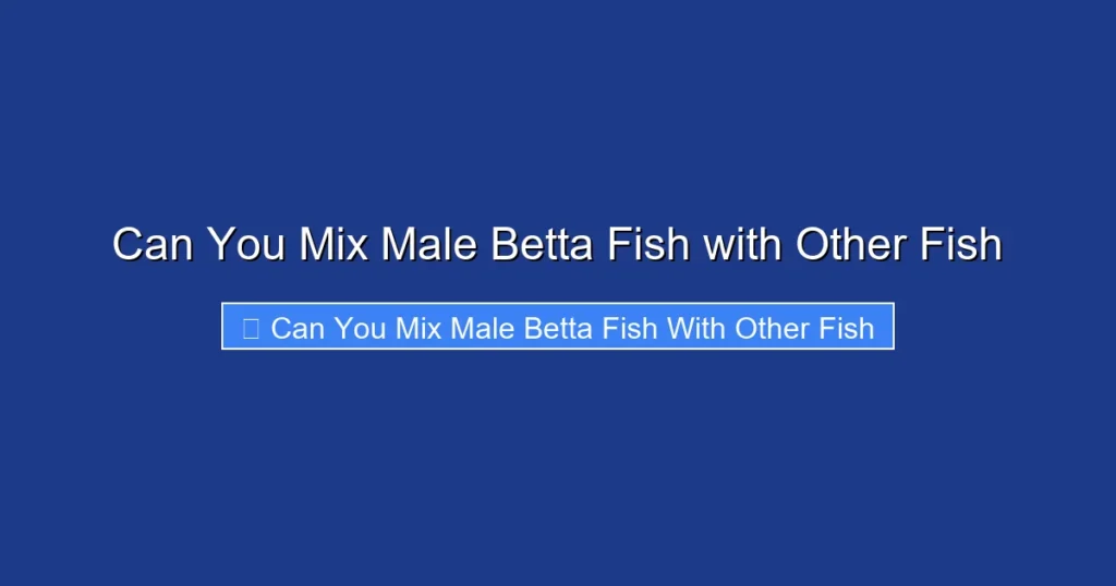 Can You Mix Male Betta Fish with Other Fish