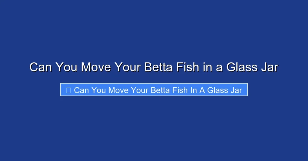 Can You Move Your Betta Fish in a Glass Jar