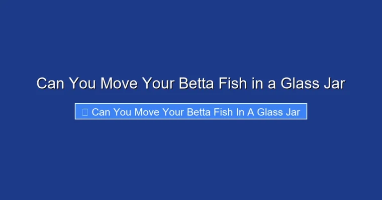 Can You Move Your Betta Fish in a Glass Jar