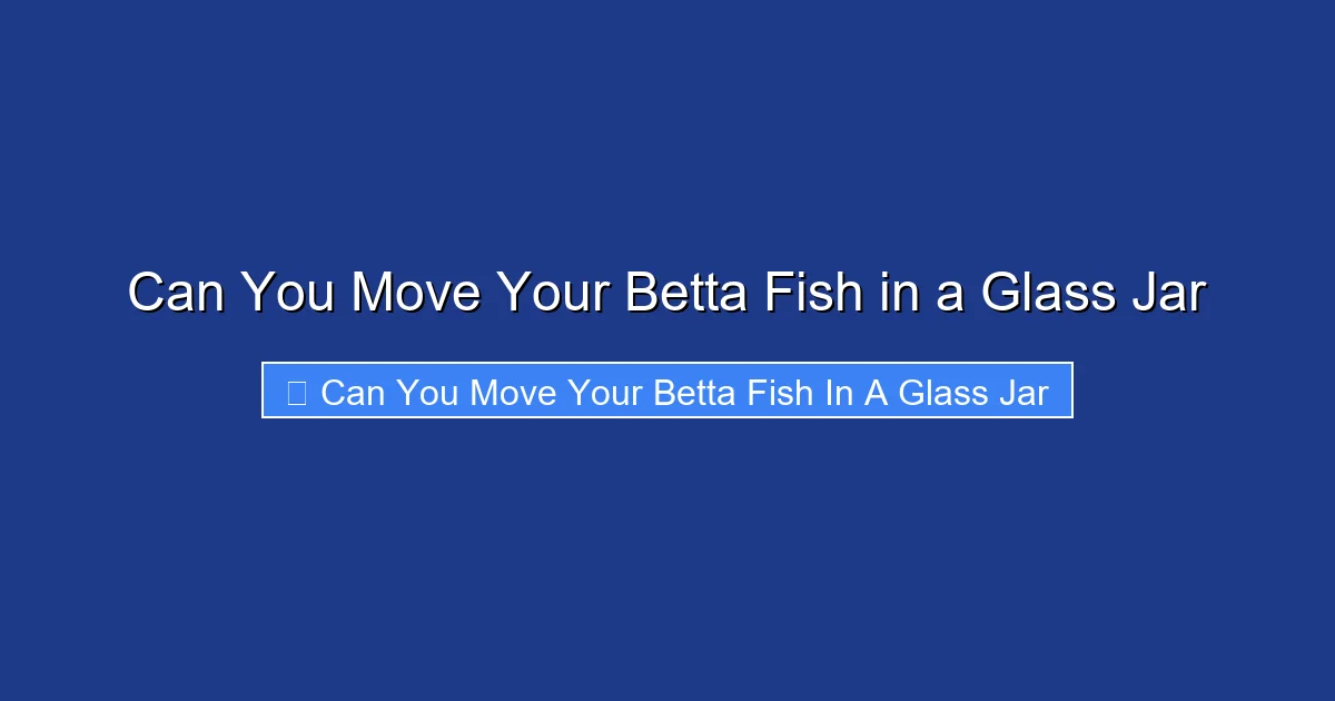 Can You Move Your Betta Fish in a Glass Jar