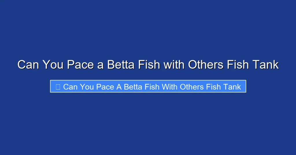 Can You Pace a Betta Fish with Others Fish Tank