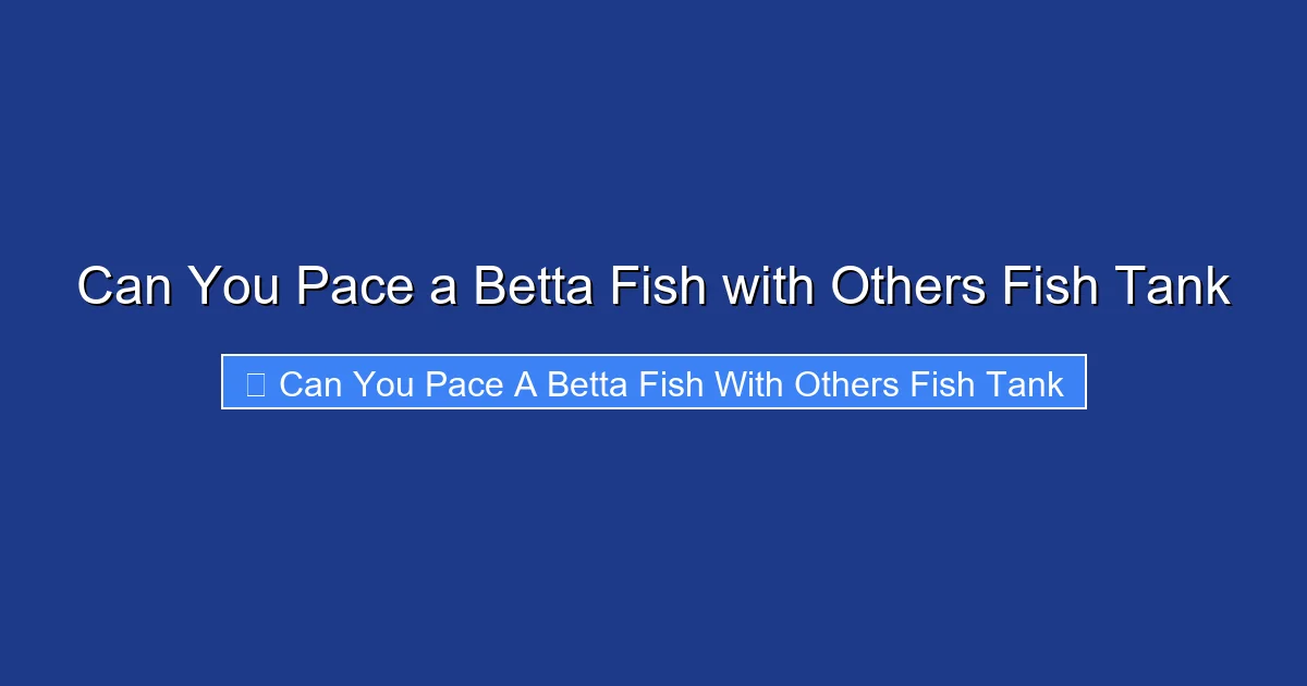 Can You Pace a Betta Fish with Others Fish Tank