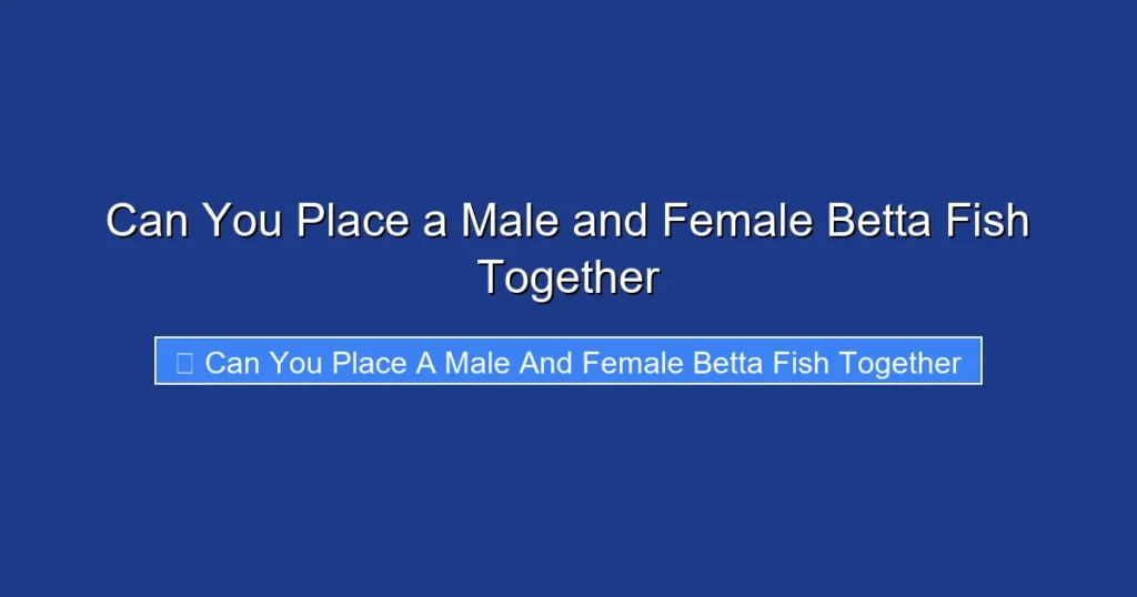 Can You Place a Male and Female Betta Fish Together
