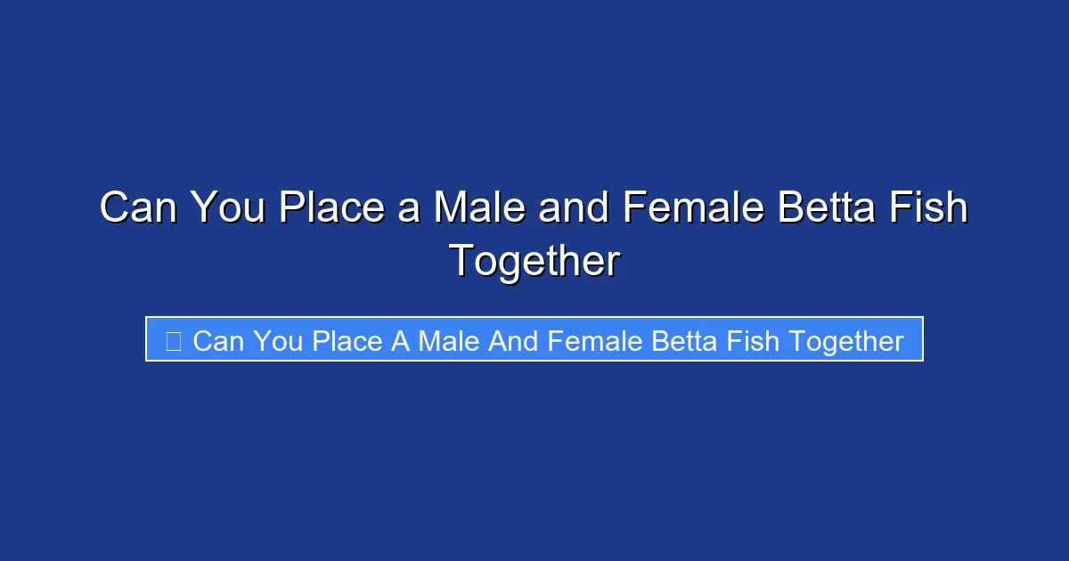 Can You Place a Male and Female Betta Fish Together