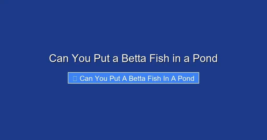 Can You Put a Betta Fish in a Pond