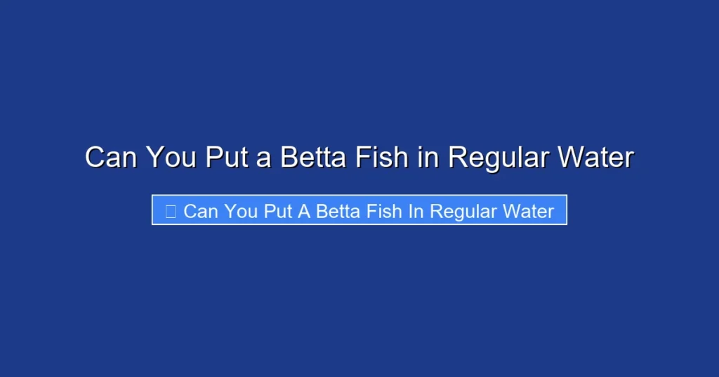 Can You Put a Betta Fish in Regular Water