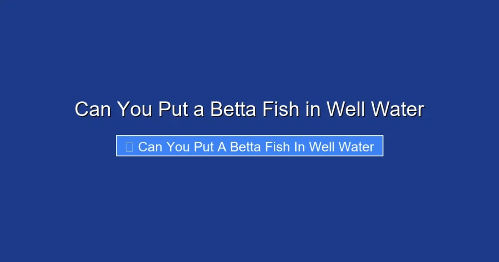 Can You Put a Betta Fish in Well Water
