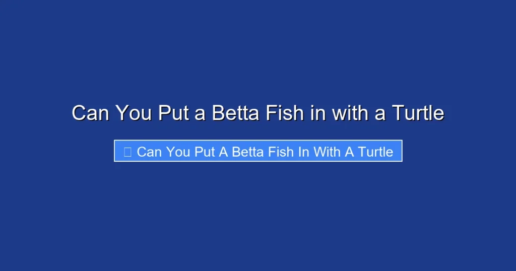 Can You Put a Betta Fish in with a Turtle