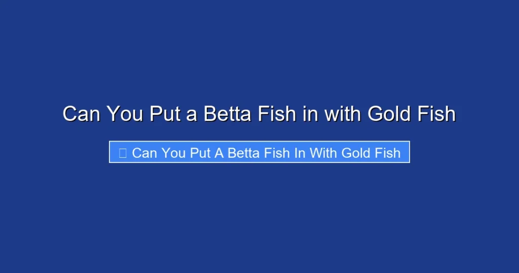 Can You Put a Betta Fish in with Gold Fish