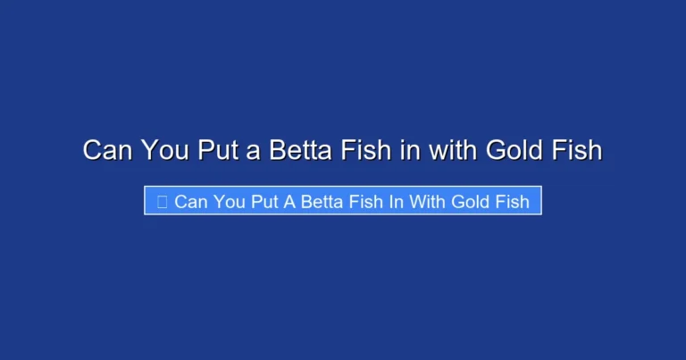 Can You Put a Betta Fish in with Gold Fish