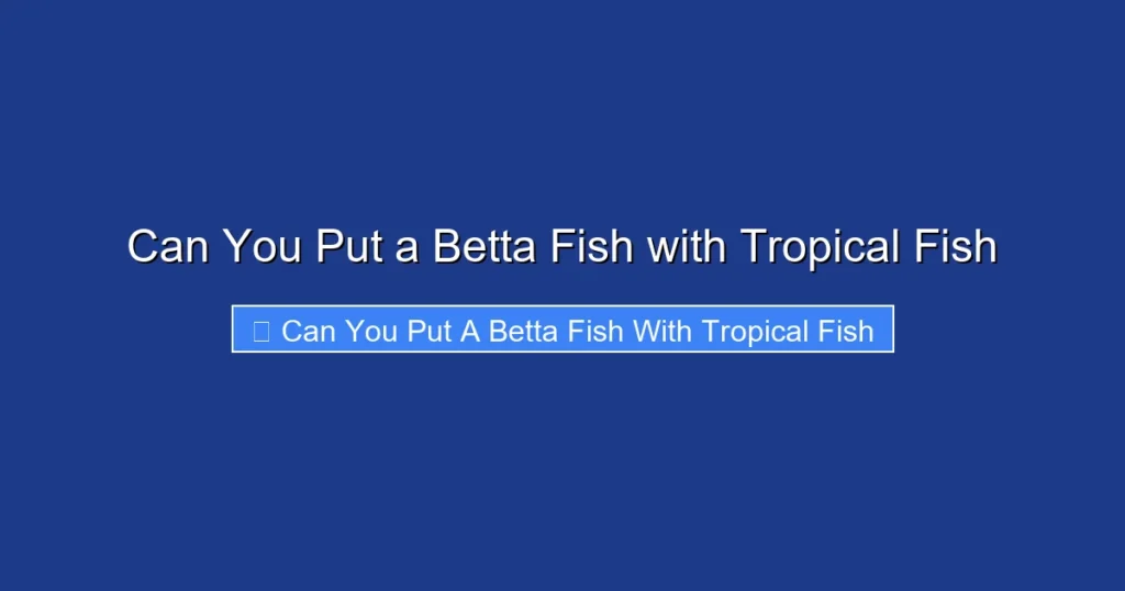 Can You Put a Betta Fish with Tropical Fish