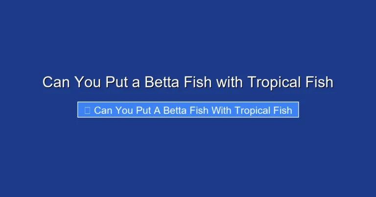 Can You Put a Betta Fish with Tropical Fish