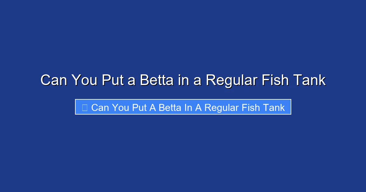Can You Put a Betta in a Regular Fish Tank