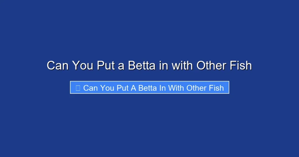 Can You Put a Betta in with Other Fish