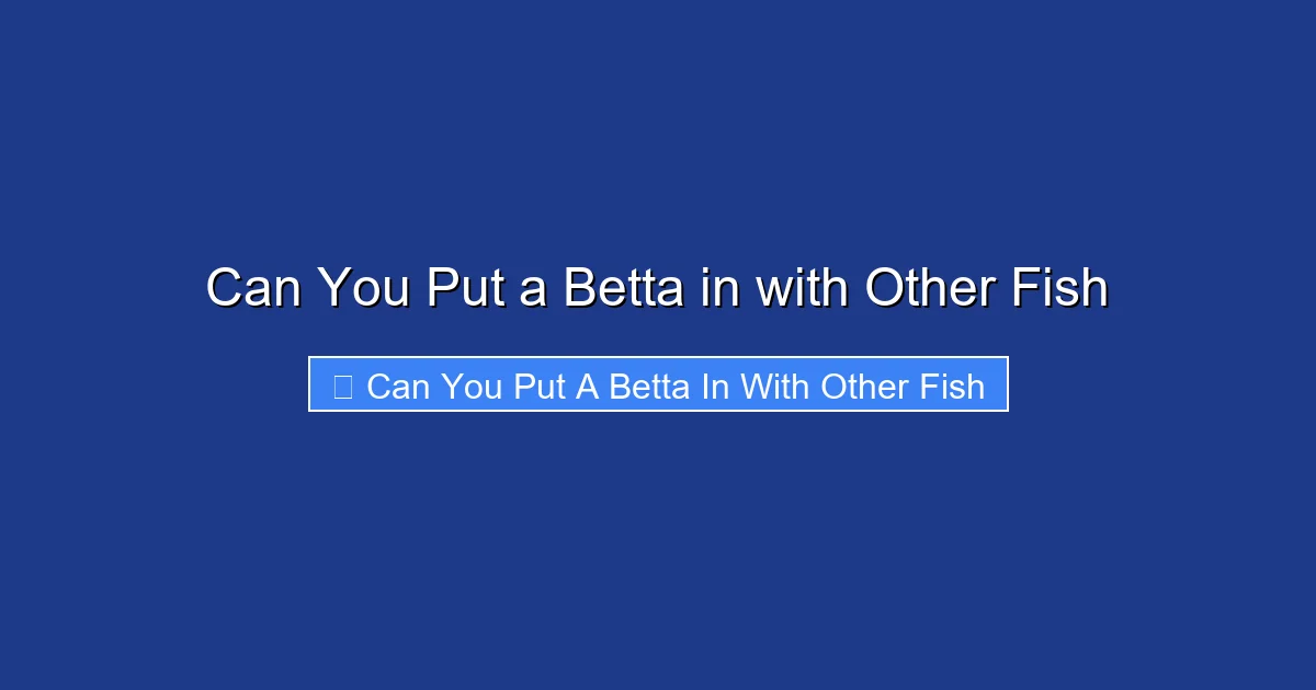 Can You Put a Betta in with Other Fish