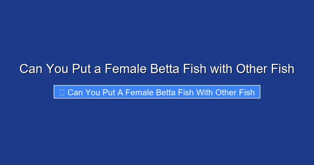 Can You Put a Female Betta Fish with Other Fish