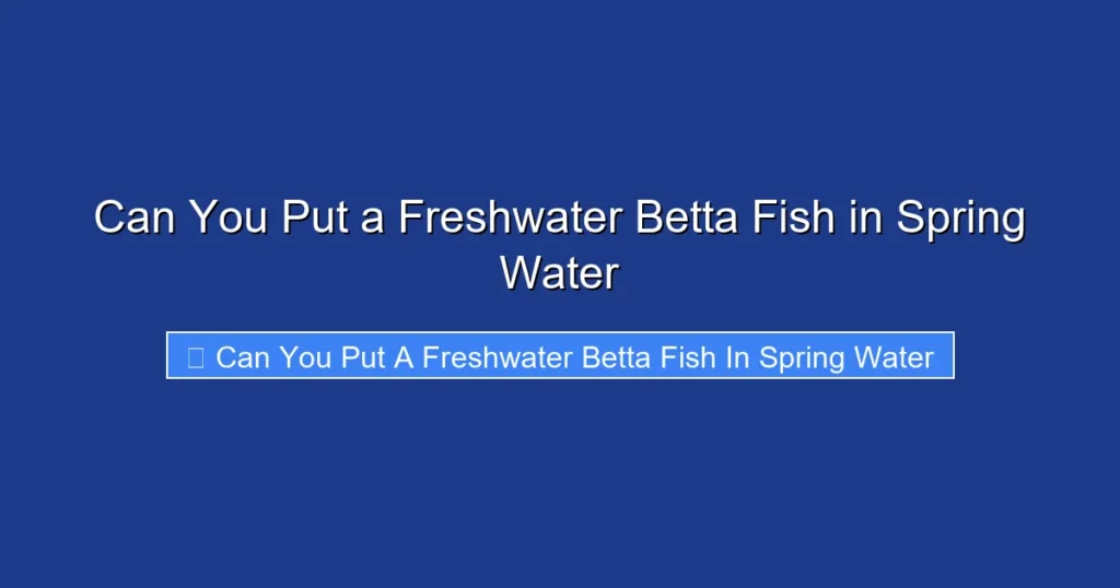 Can You Put a Freshwater Betta Fish in Spring Water