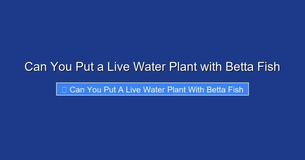 Can You Put a Live Water Plant with Betta Fish