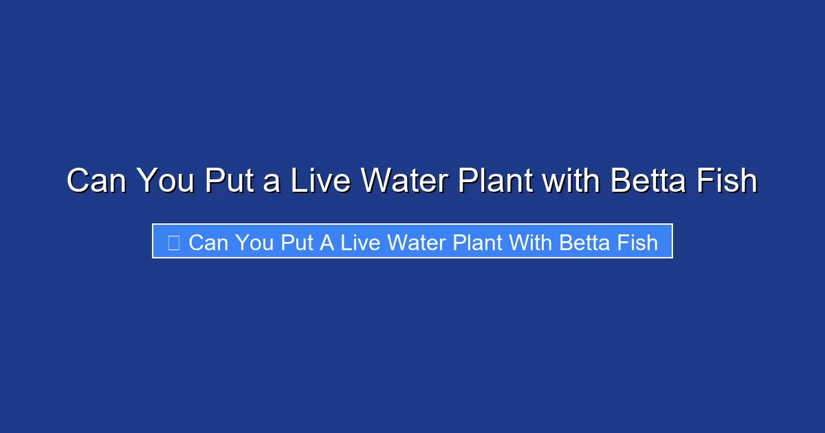 Can You Put a Live Water Plant with Betta Fish