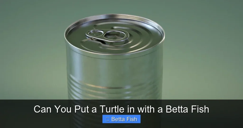 Can You Put a Turtle in with a Betta Fish