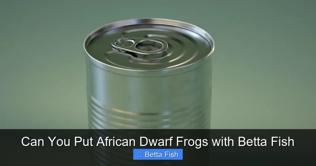 Can You Put African Dwarf Frogs with Betta Fish