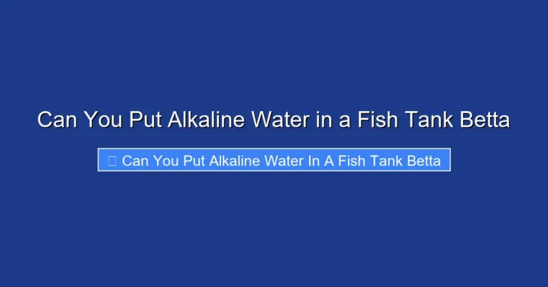 Can You Put Alkaline Water in a Fish Tank Betta