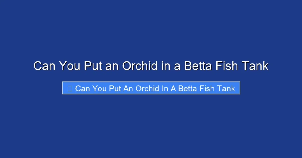 Can You Put an Orchid in a Betta Fish Tank