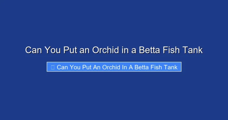 Can You Put an Orchid in a Betta Fish Tank