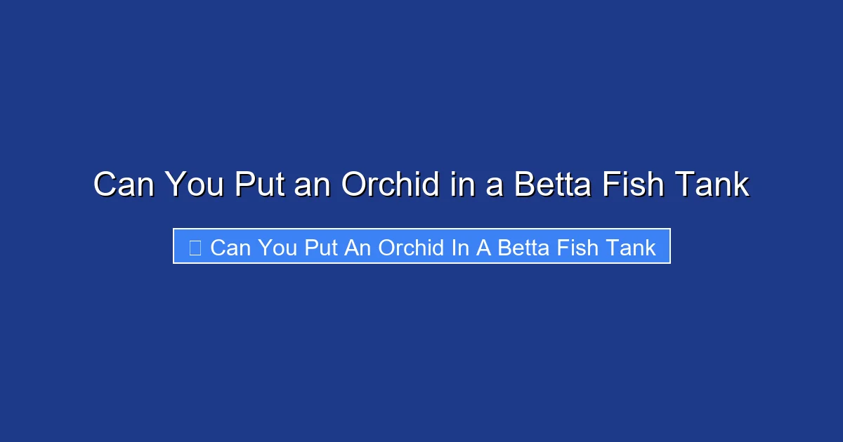 Can You Put an Orchid in a Betta Fish Tank