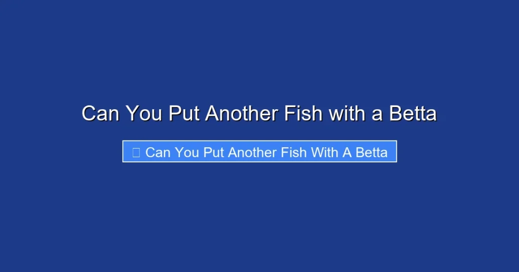 Can You Put Another Fish with a Betta