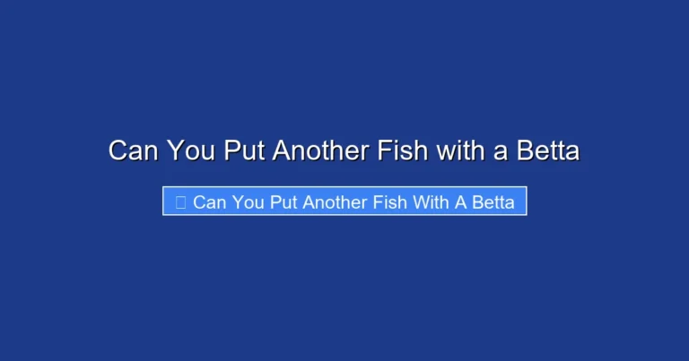 Can You Put Another Fish with a Betta