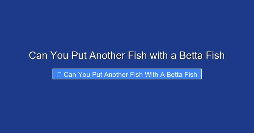 Can You Put Another Fish with a Betta Fish