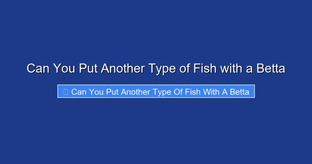 Can You Put Another Type of Fish with a Betta