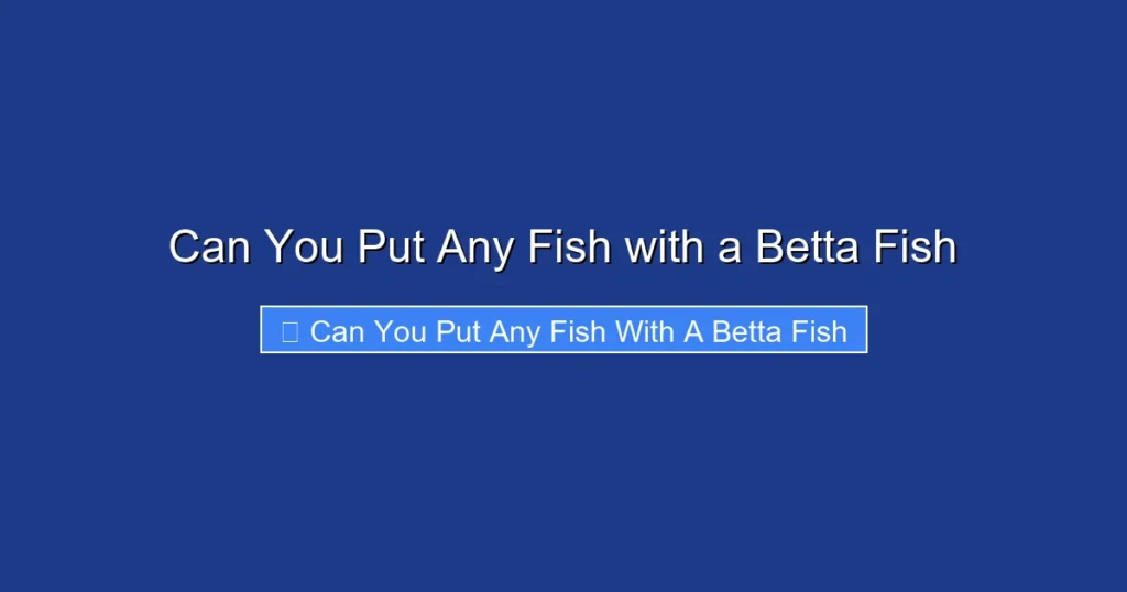 Can You Put Any Fish with a Betta Fish