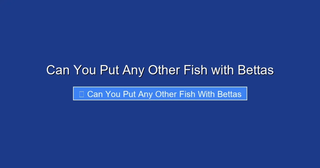 Can You Put Any Other Fish with Bettas