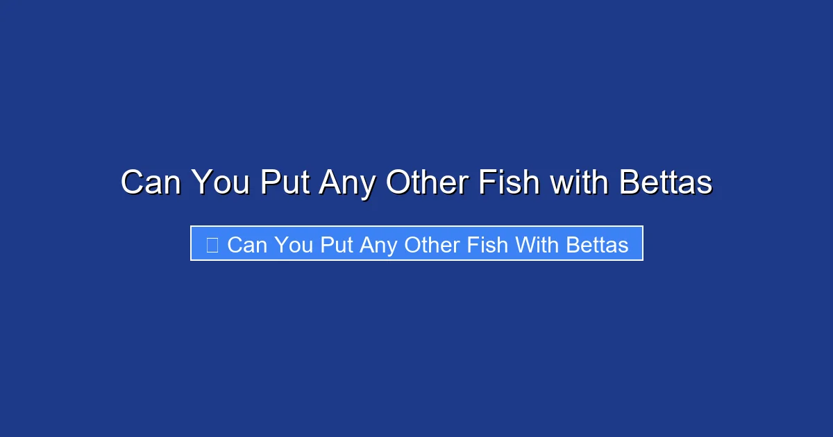 Can You Put Any Other Fish with Bettas