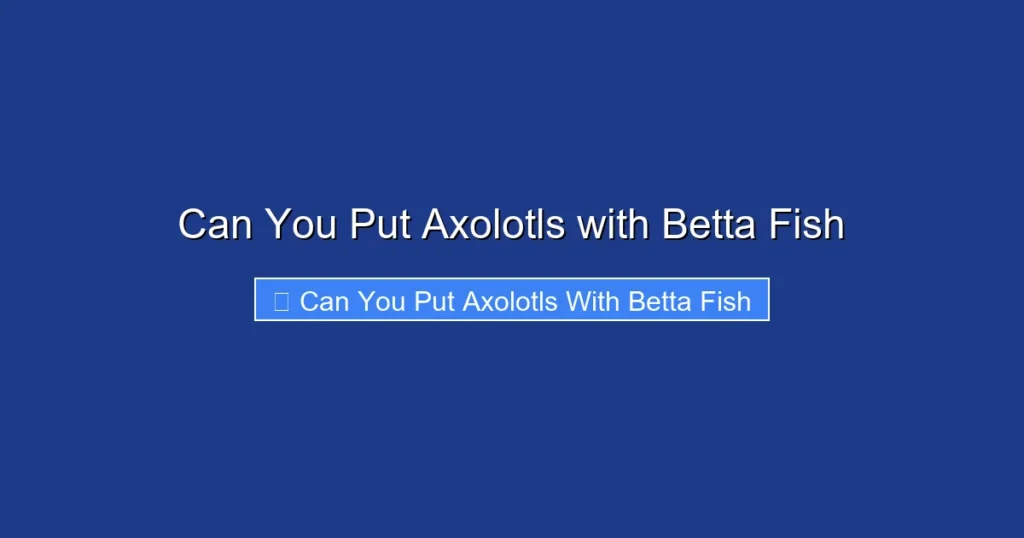 Can You Put Axolotls with Betta Fish