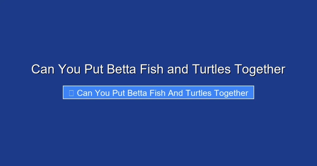 Can You Put Betta Fish and Turtles Together