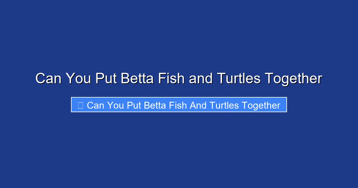 Can You Put Betta Fish and Turtles Together