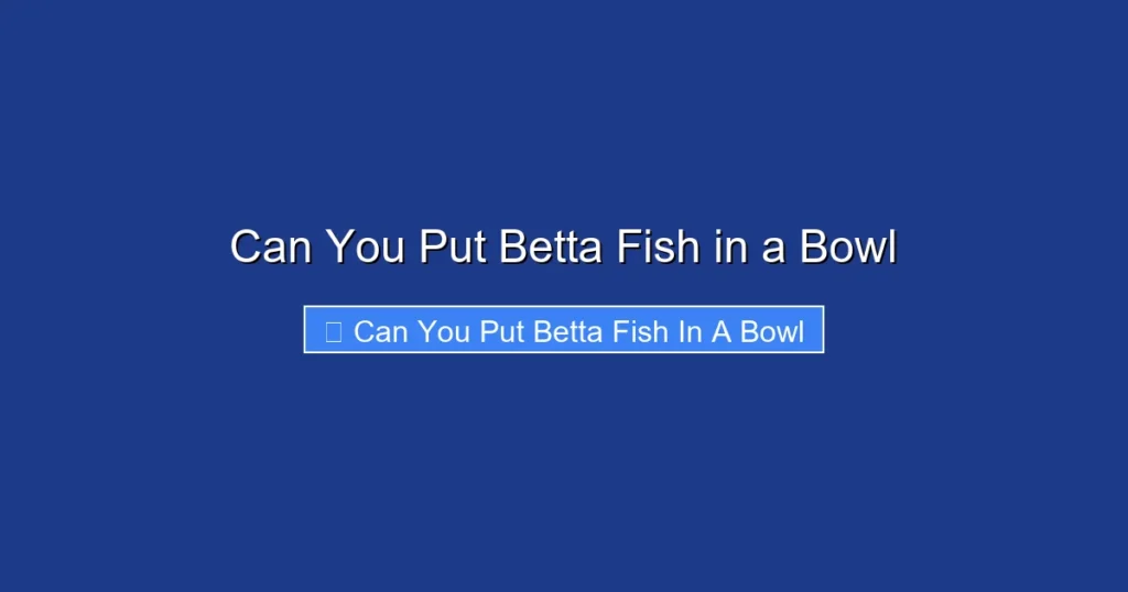 Can You Put Betta Fish in a Bowl