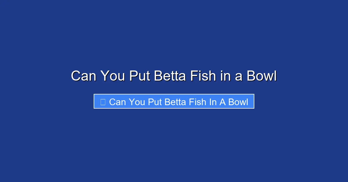 Can You Put Betta Fish in a Bowl