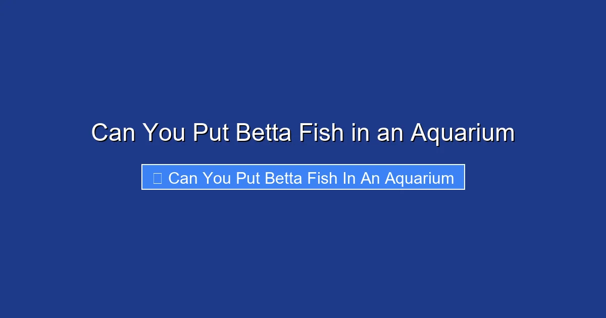 Can You Put Betta Fish in an Aquarium