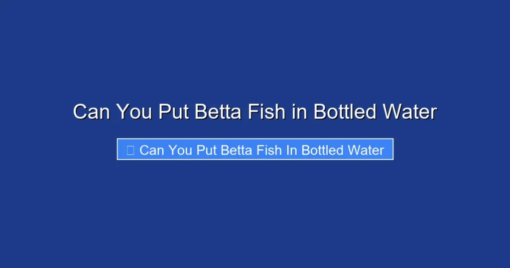 Can You Put Betta Fish in Bottled Water