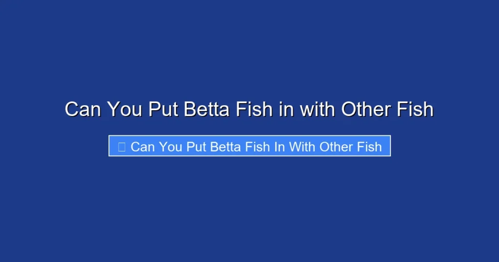 Can You Put Betta Fish in with Other Fish