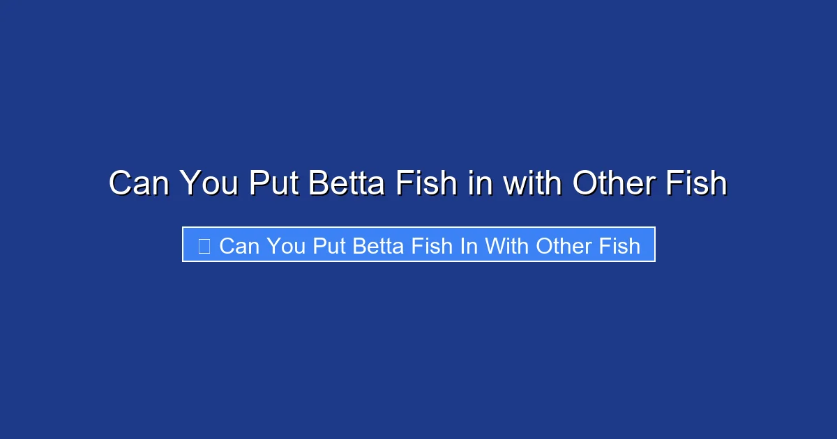 Can You Put Betta Fish in with Other Fish